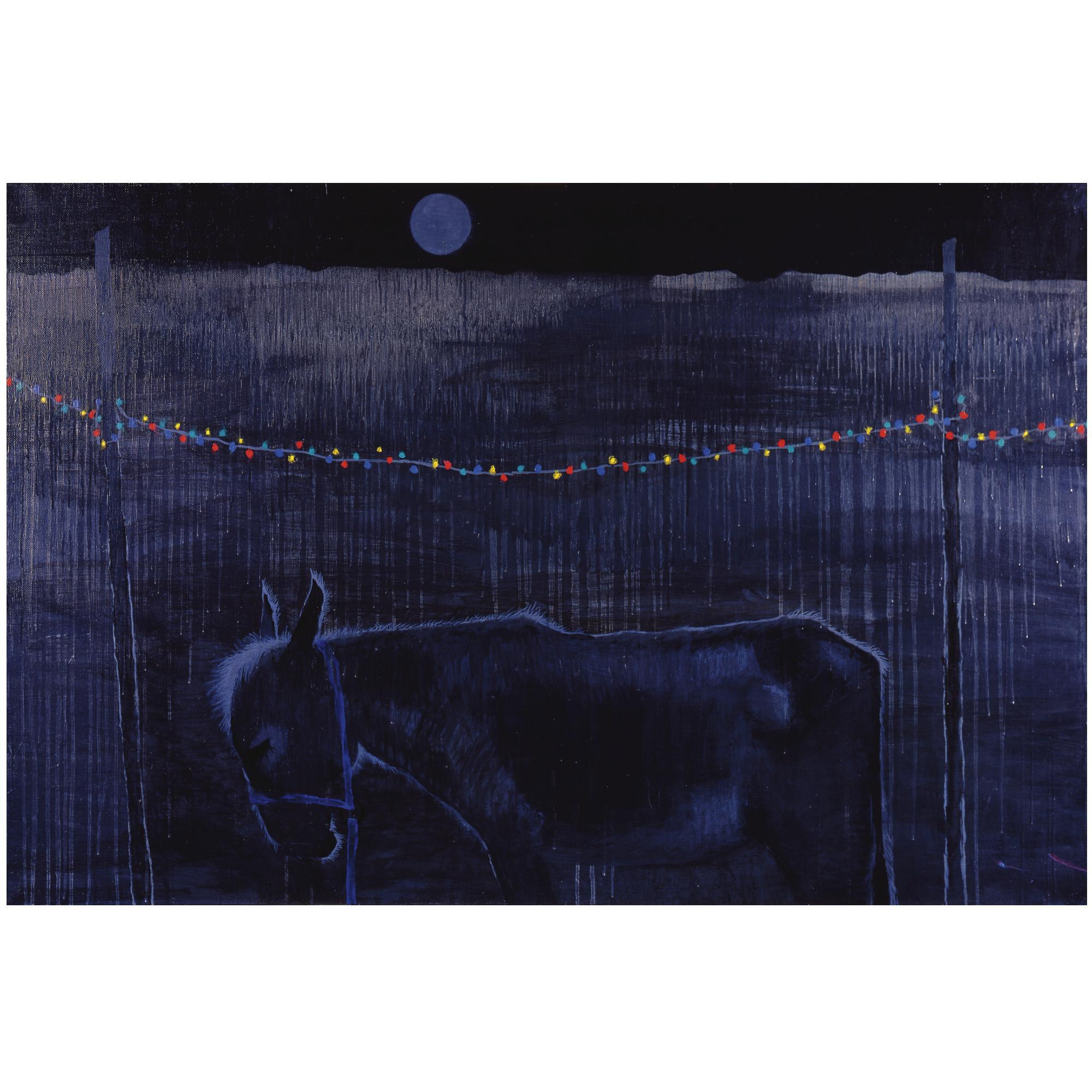 Alexander Yakut - Uzbekistan, Midnight. Sleeping Donkey