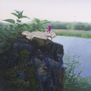 Alexander Zakharov - Russian  mushroom Picker