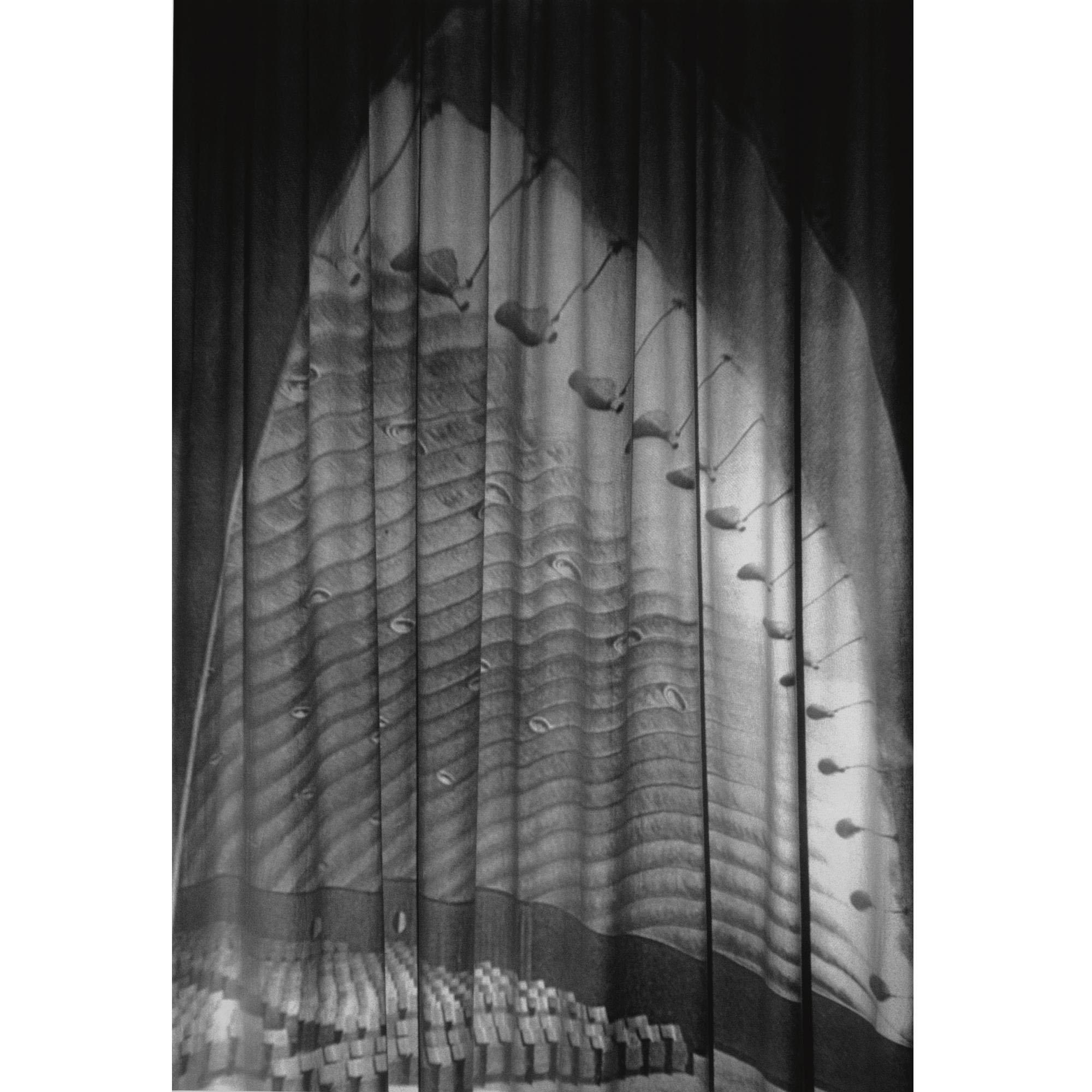 Alexandra Leykauf - German airone / Vorhang