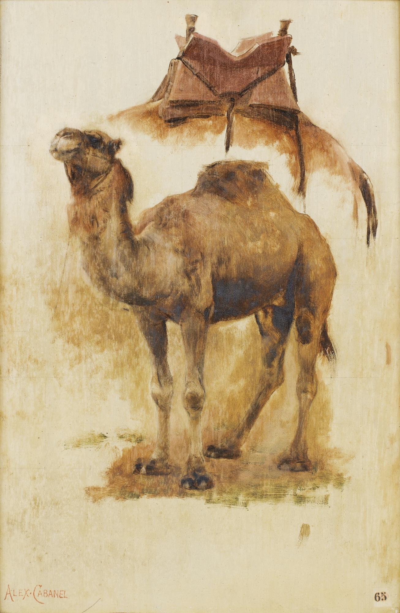Alexandre Cabanel - Etude De Chameau