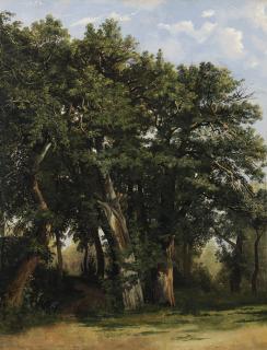 Alexandre Calame - Groupe De Chênes