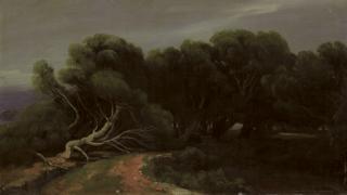 Alexandre Calame - Pins le long d\'un chemin au bord de mer, 1853-60