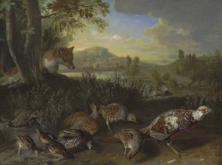 Alexandre-François Desportes - English And French Partridge, A Covey Of Quail And An Ornamental Pheasant Disturbed By A Fox, On A Riverbank