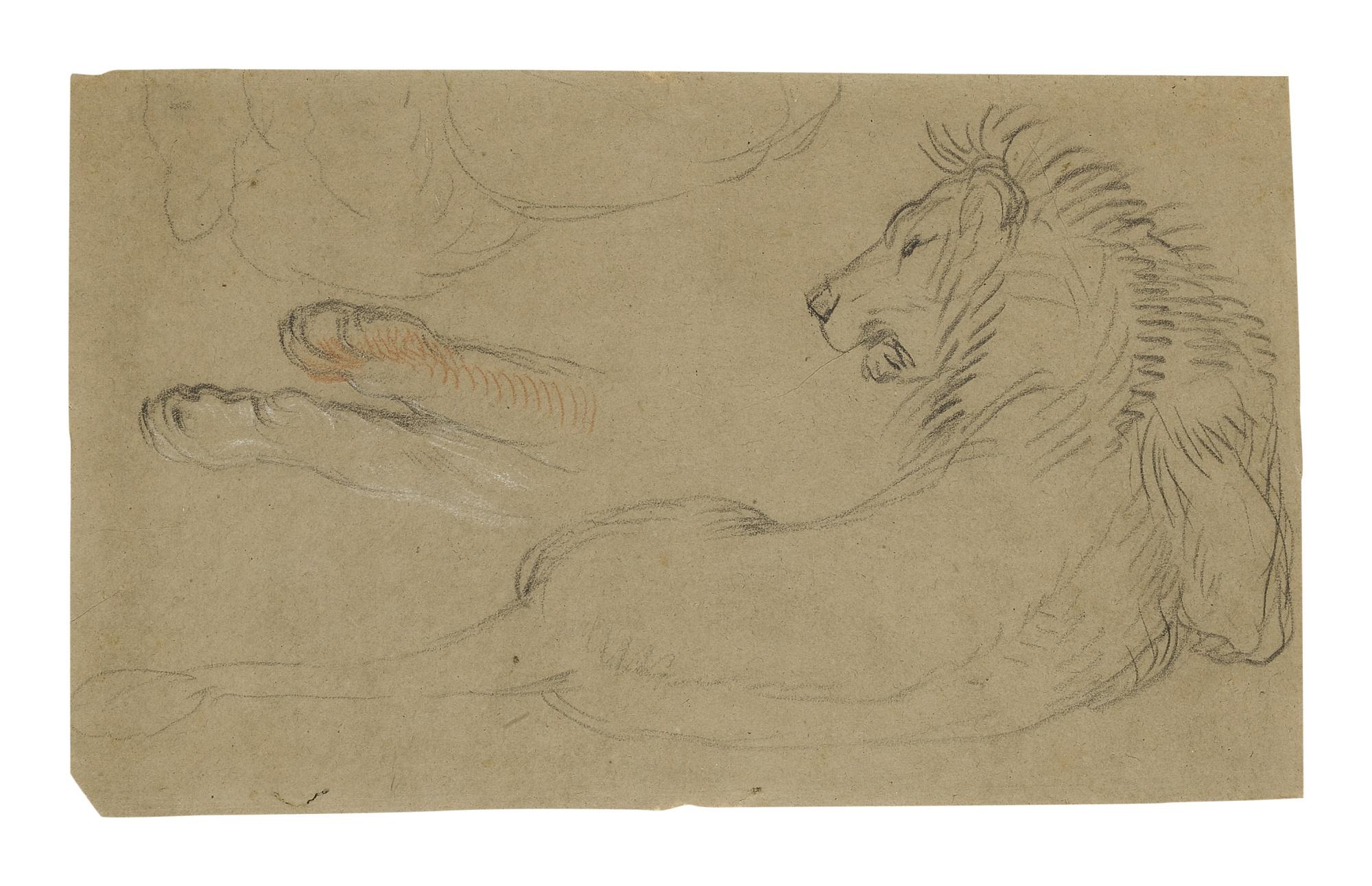 Alexandre-François Desportes - Studies Of A Lion 