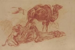 Alexandre Iacovleff - Study Of Resting Camels