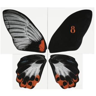 Alexei Kostroma - Butterfly With Red Spots