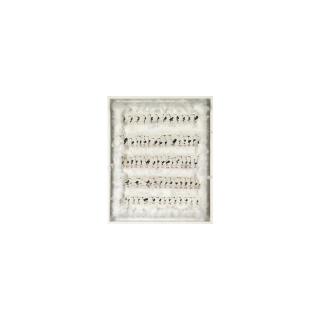 Alexei Kostroma - Uporyadochennoe Shestvie [Controlled Procession]