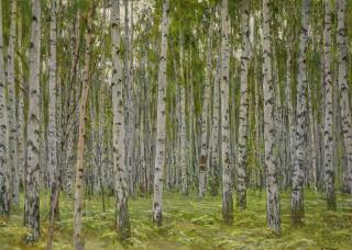Alexei Mikhailovich Gritsai - Evening In The Birch Grove