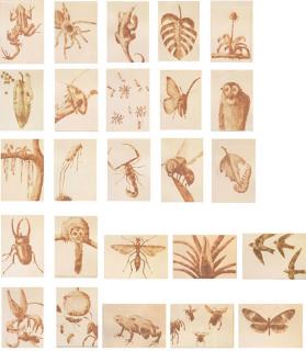 Alexis Rockman - Flora And Fauna Paintings (25 Mud Paintings)