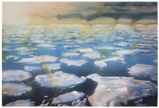 Alexis Rockman - Untitled (Ice Floe)