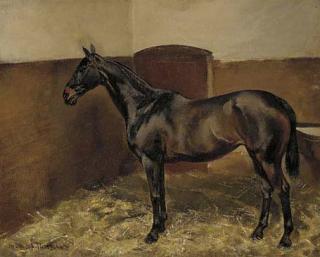 Alfons Purtscher - A bay hunter in a stable