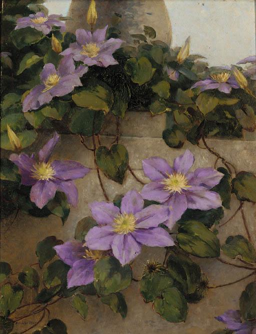 Alfonso Toft - Clematis