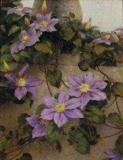 Alfonso Toft - Clematis