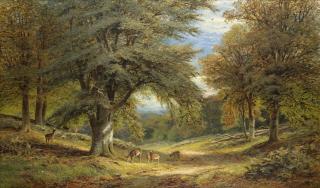 Alfred Augustus Glendening - Deer on a shaded woodland path