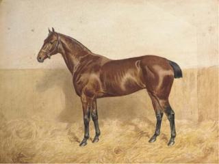 Alfred Bright - Polly, a bay horse in a stable