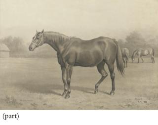 Alfred Bright - Rising Falcon; Dutch Oven; and Windermere