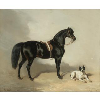 Alfred De Dreux - French Un Cheval Arabe Et Bulldogue