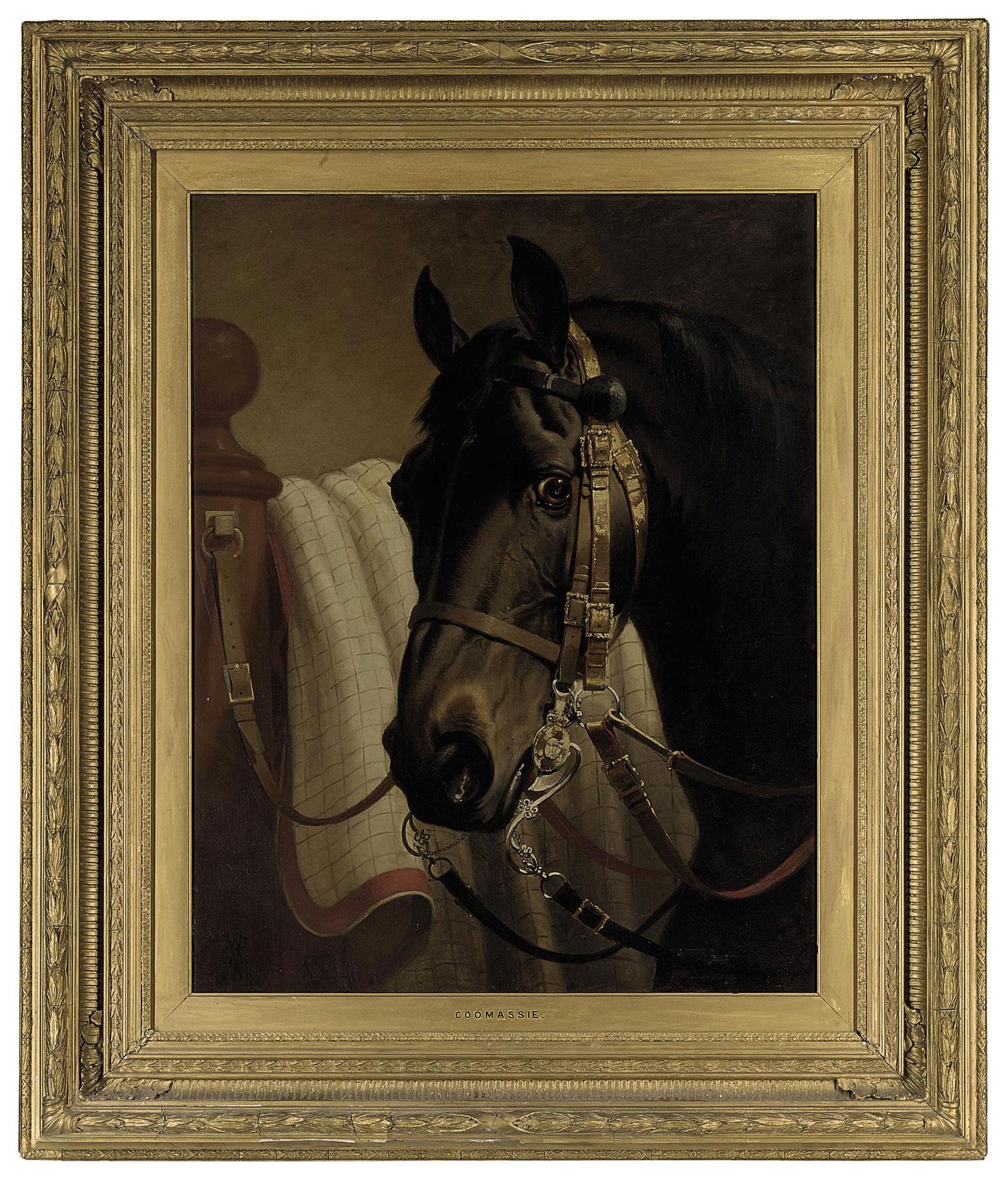 Alfred de Prades - Coomassie, by King Tom, out of Mahala