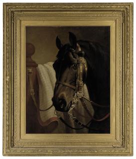 Alfred de Prades - Coomassie, by King Tom, out of Mahala