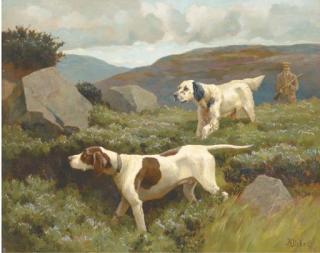 Alfred Duke - An English setter and a pointer