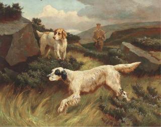 Alfred Duke - Setters On The Point