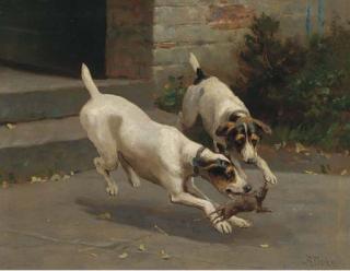 Alfred Duke - Terriers ratting