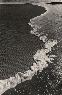 Alfred Ehrhardt - Die Flut kommt!