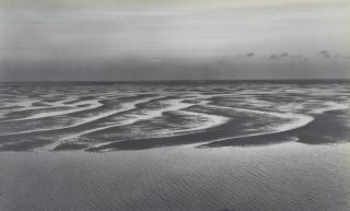 Alfred Ehrhardt - Wattenmeer Nordsee