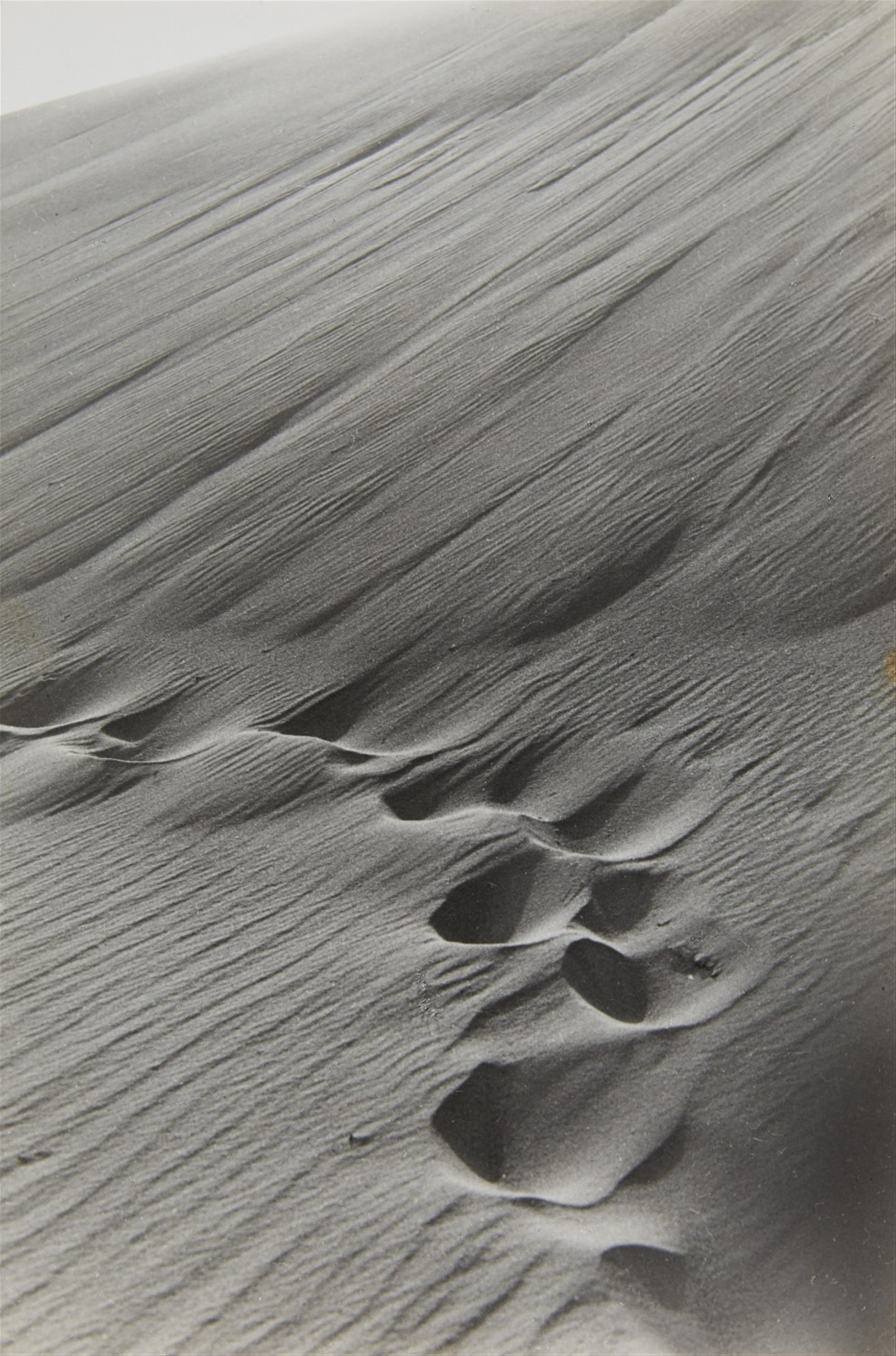 Alfred Ehrhardt - Windverwehte Fussstapfen am Steilhang der Düne, Kurische Nehrung