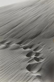 Alfred Ehrhardt - Windverwehte Fussstapfen am Steilhang der Düne, Kurische Nehrung