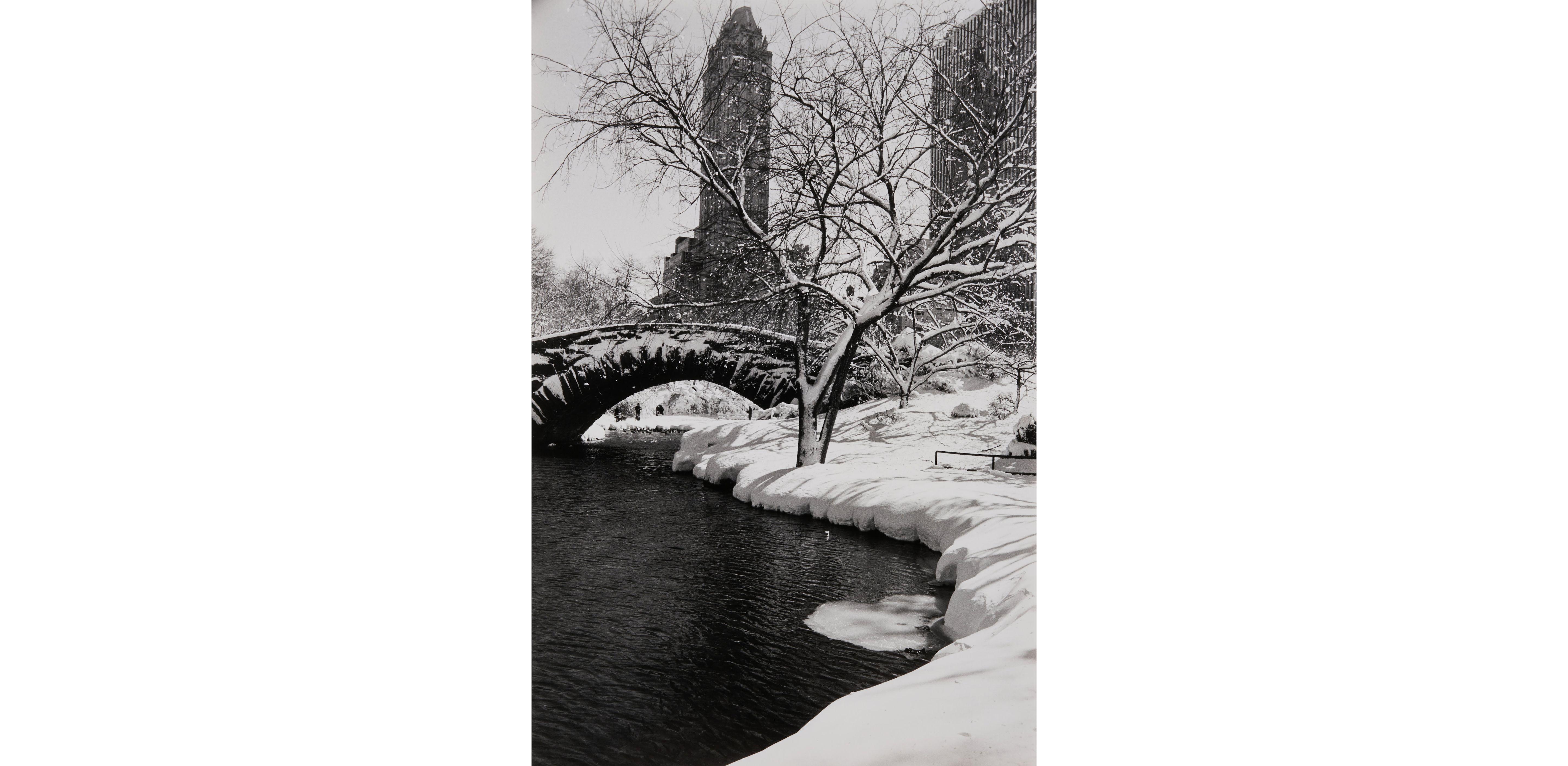 Alfred Eisenstaedt - Central Park After a Snowstorm, New York