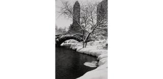Alfred Eisenstaedt - Central Park After a Snowstorm, New York