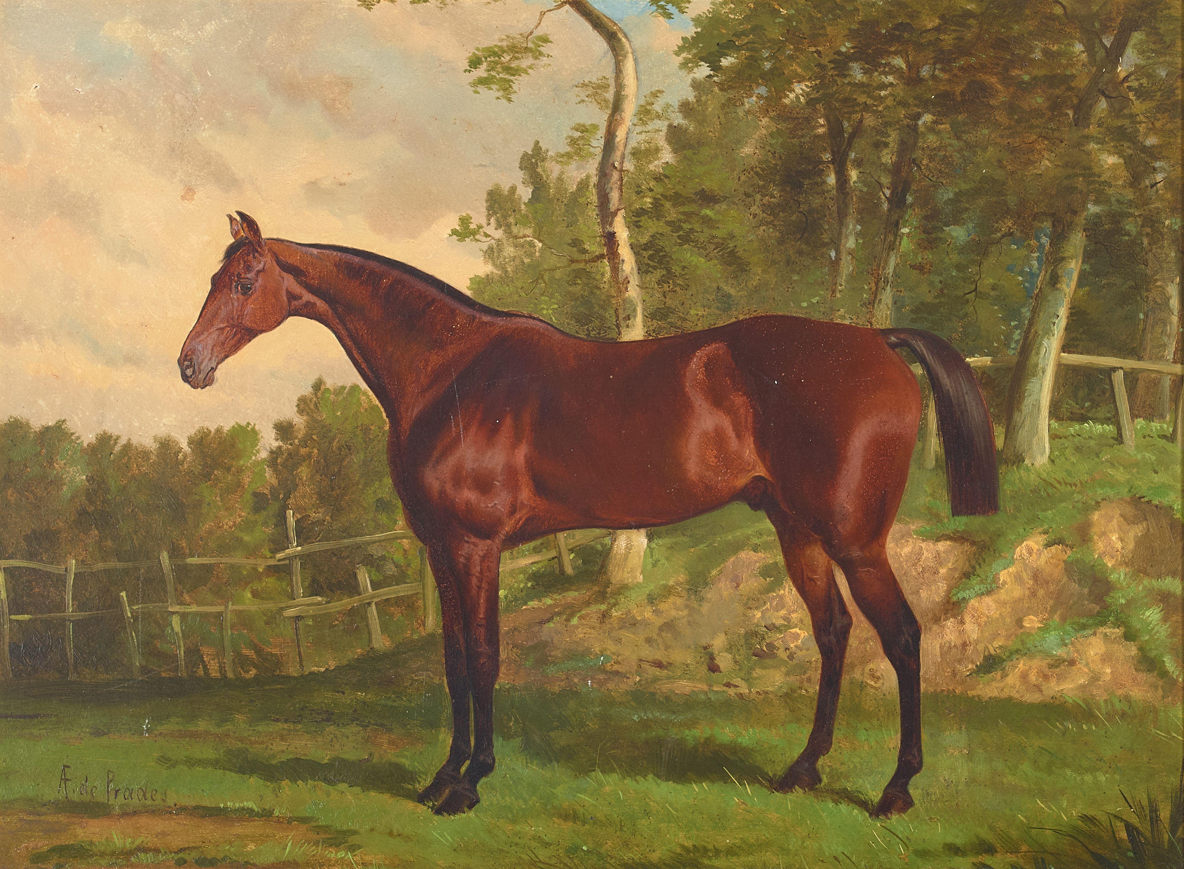 Alfred F. de Prades - A bay hunter