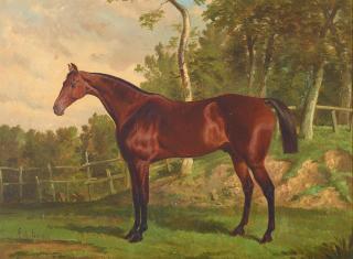 Alfred F. de Prades - A bay hunter