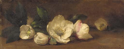 Alfred Frederick William Hayward - Christmas roses
