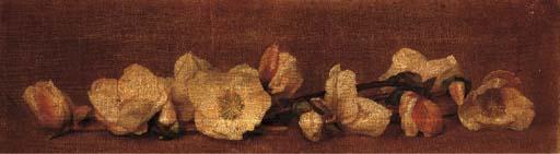 Alfred Frederick William Hayward - Helebores