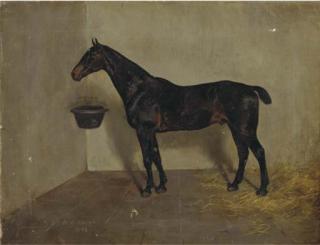 Alfred Grenfell Haigh - A dark brown hunter in a loose box