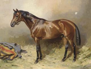 Alfred Grenfell Haigh - Chivalrous, a bay pony in a stable