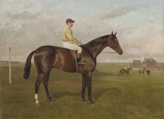 Alfred Grenfell Haigh - Mackintosh, A Bay Colt With Sam Loates Up, At Newmarket