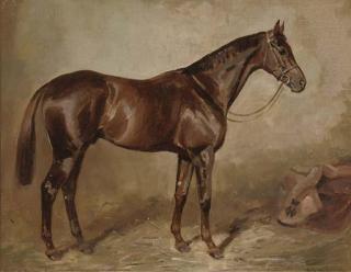 Alfred Grenfell Haigh - Rose En Soleil