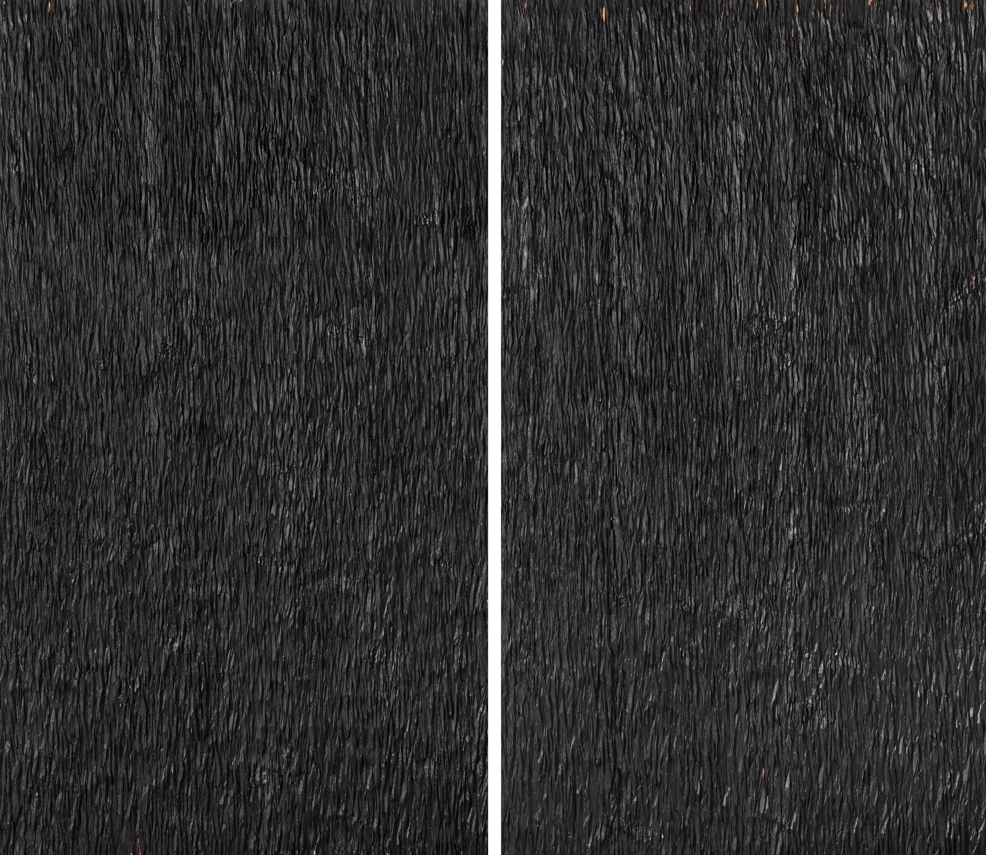 Alfred Haberpointner - Ohne Titel (Diptychon).