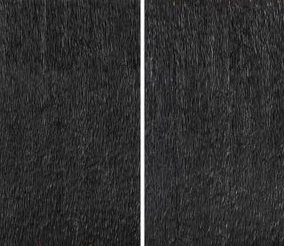 Alfred Haberpointner - Ohne Titel (Diptychon).