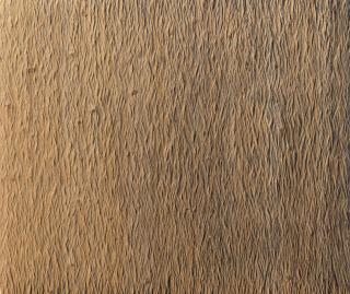 Alfred Haberpointner - Ohne Titel