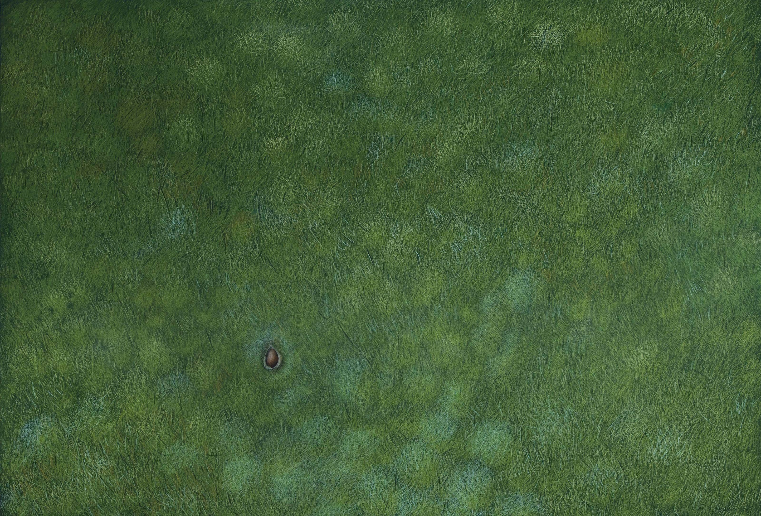 Alfred Hofkunst - Champs de coques de chataigne avec un fruit ouvert (Fields of Chestnut Shells with an Open Fruit)