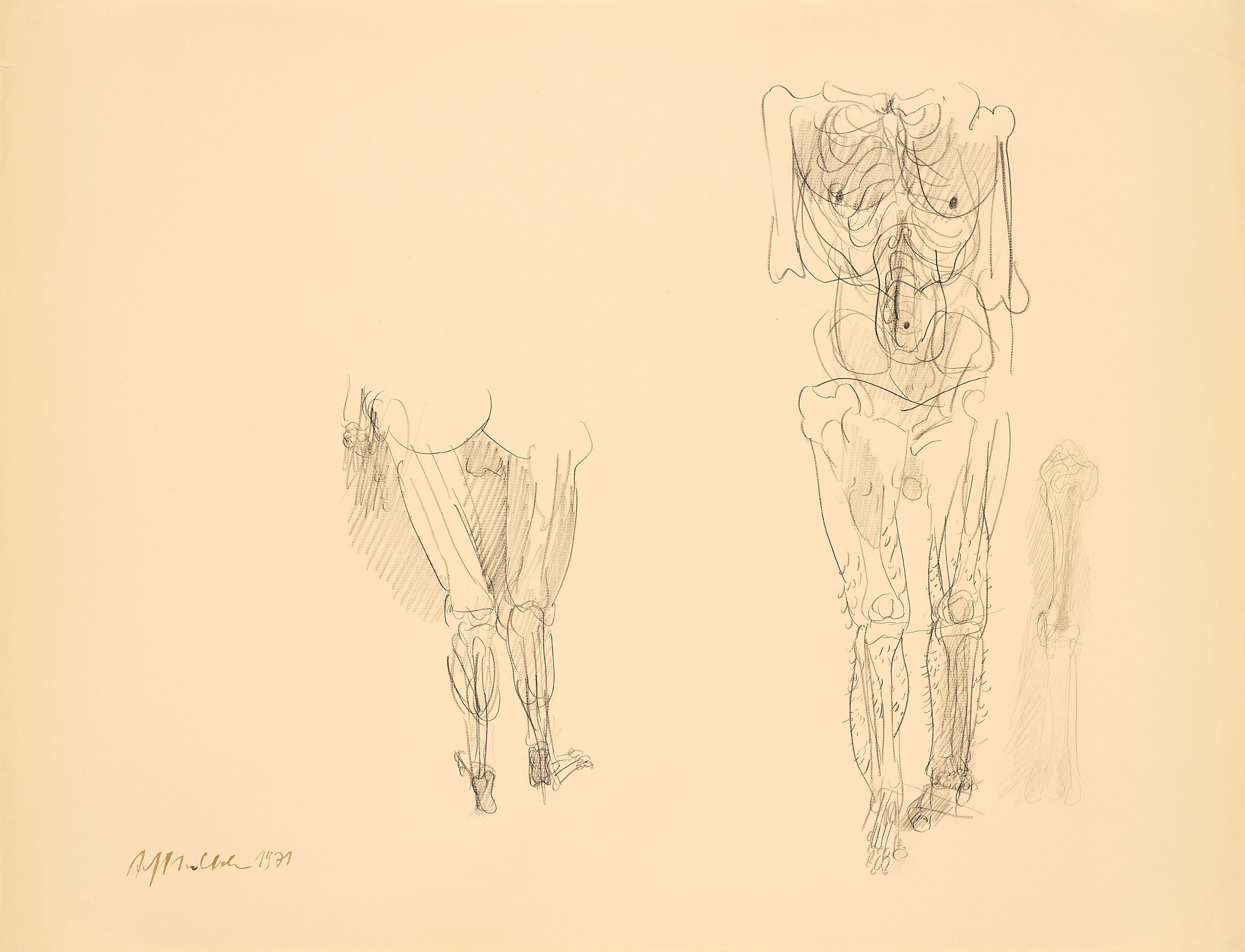 Alfred Hrdlicka - Anatomiestudie.