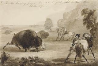 Alfred Jacob Miller - Hunters Escaping from a Wounded Buffalo, While He Tears Their Clothes to Pieces