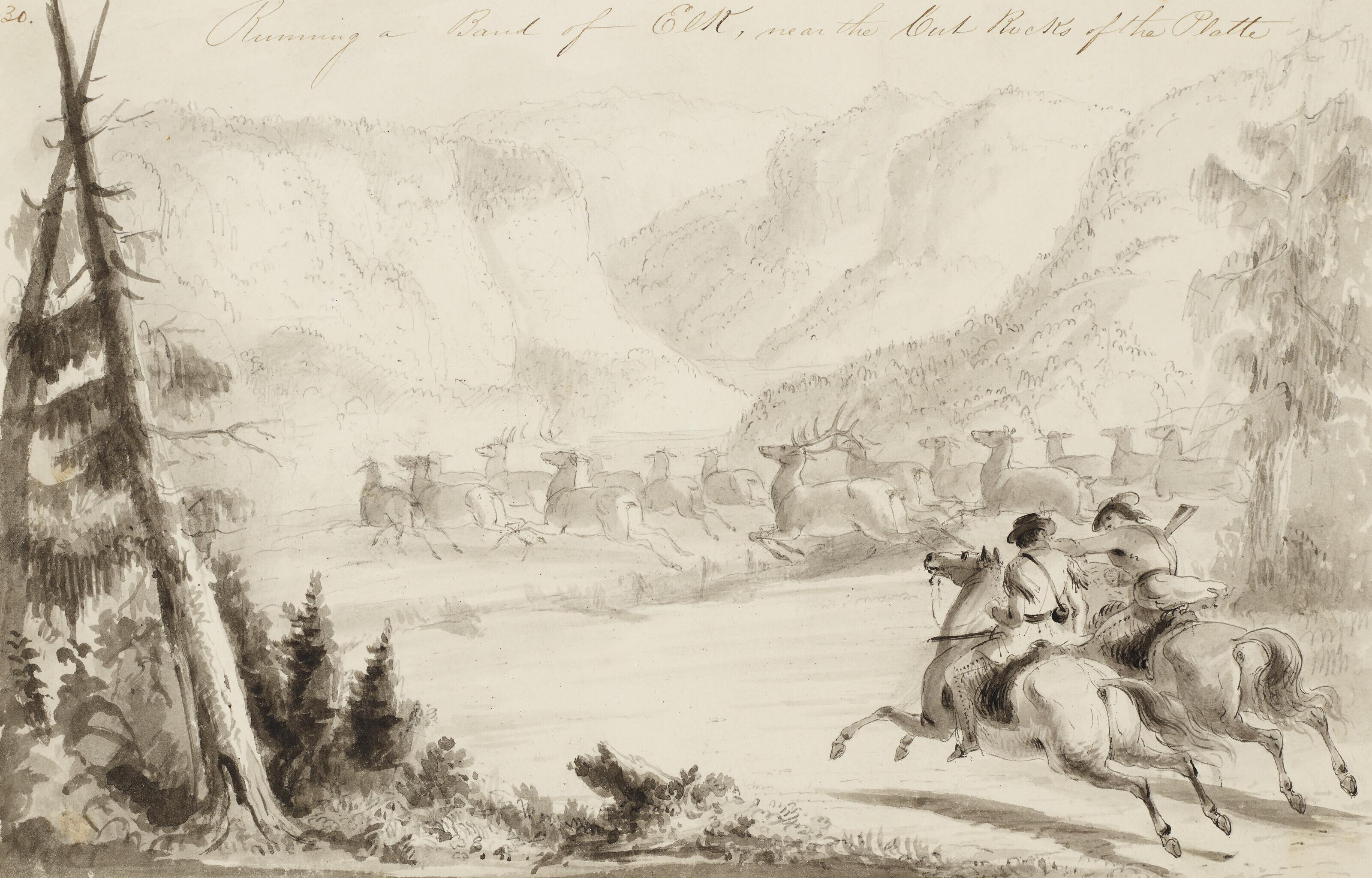 Alfred Jacob Miller - Running a Bank of Elk, Near the Cut Rocks of the Platte