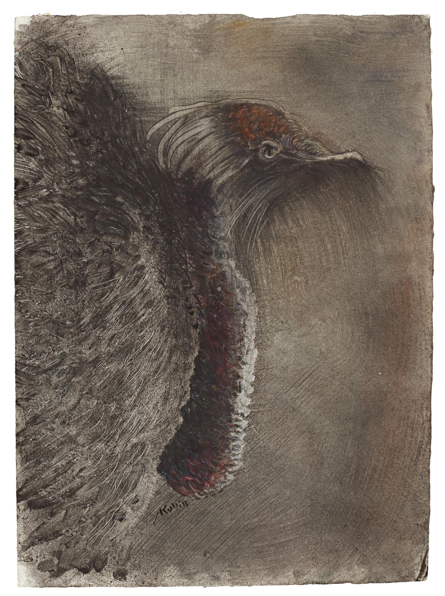 Alfred Kubin - Kasuarkopf (Head Of A Cassowary)
