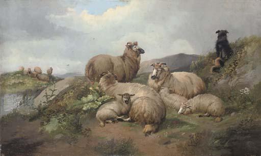 Alfred Morris - Sheep and lambs with a sheep dog on a hillside