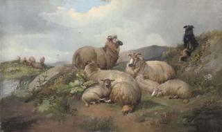 Alfred Morris - Sheep and lambs with a sheep dog on a hillside